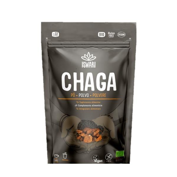 Cogumelo Chaga Em Pó Bio 100G