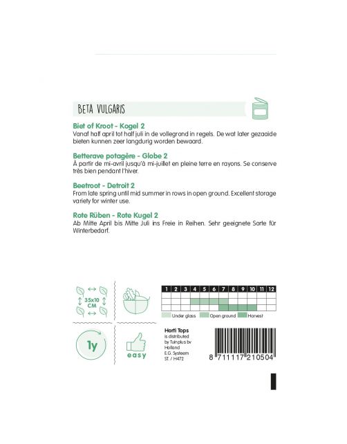 Hortitops Bieten Kogel 2 - Groentezaden - 5 g