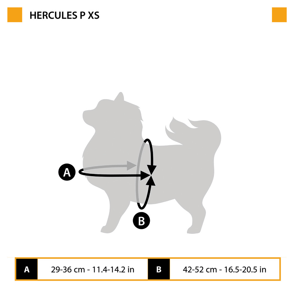 Harnais pour chiens hercules extra small, rembourré, résistant, anti-griffures, visible dans l'obscurité, avec poignée