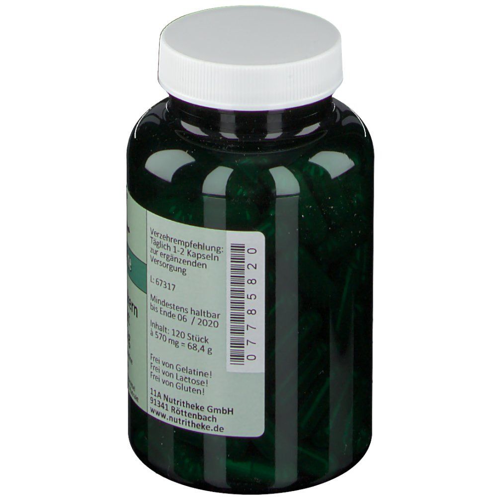 green line NUTRITHEKE Traubenkernextrakt 150 mg