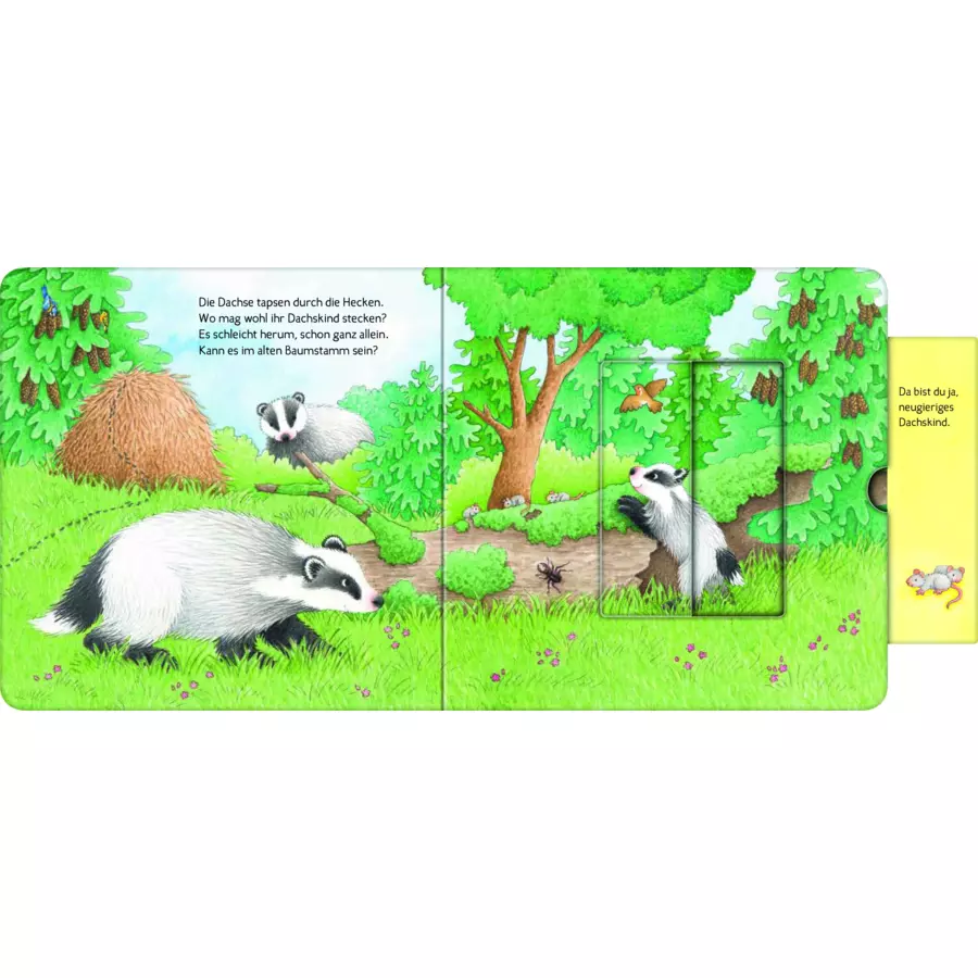 Ravensburger Wer hat sich hier versteckt? Suche die Waldtiere