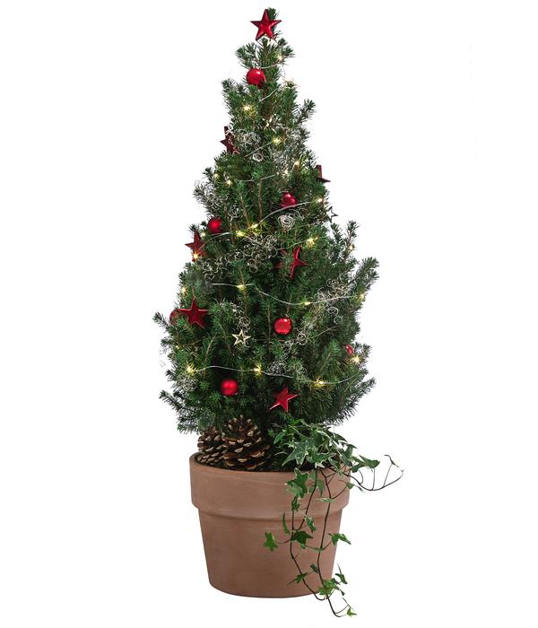 Geschmückter Weihnachtsbaum Terra, mit