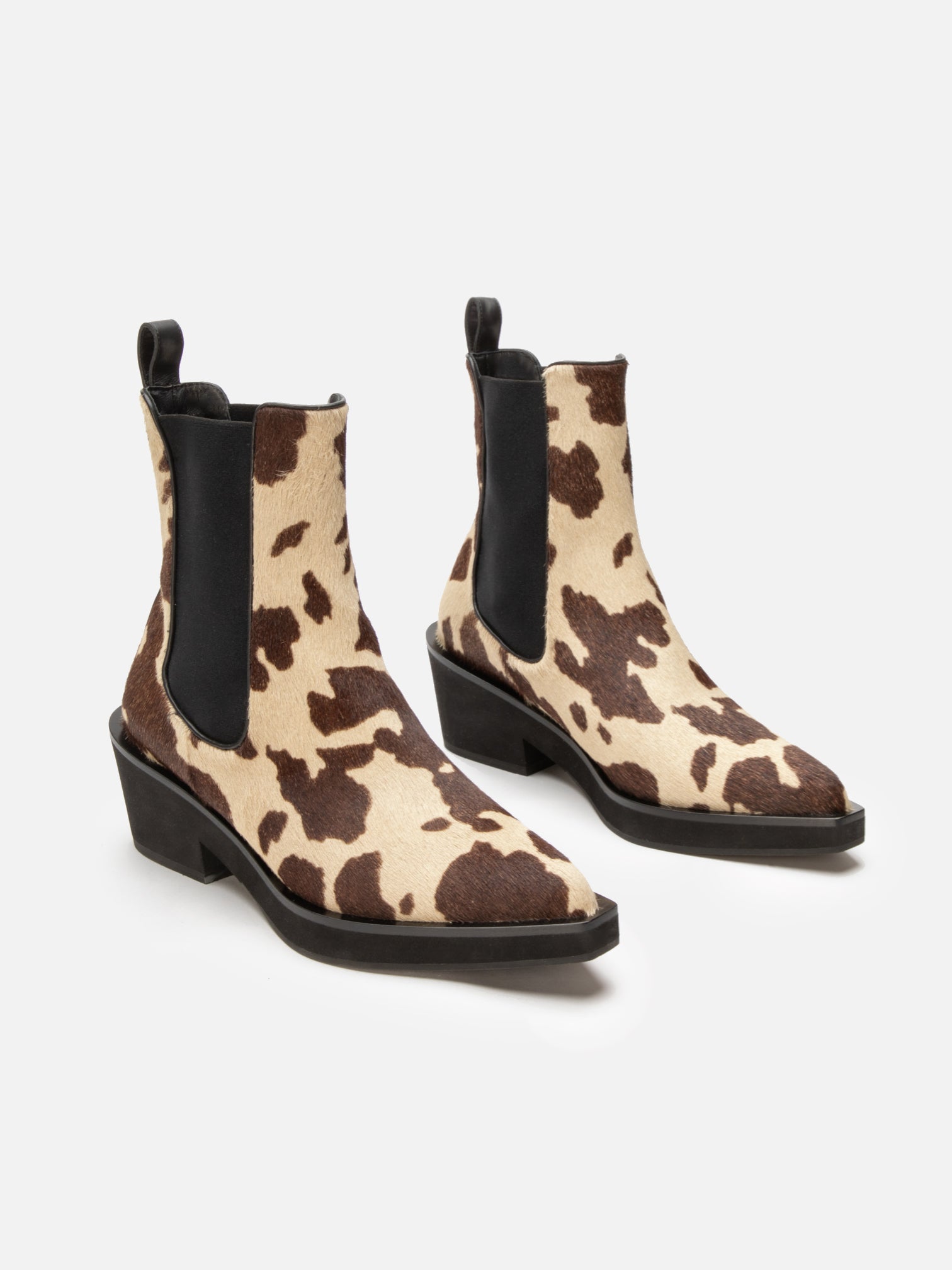 TEGAN, cow print
