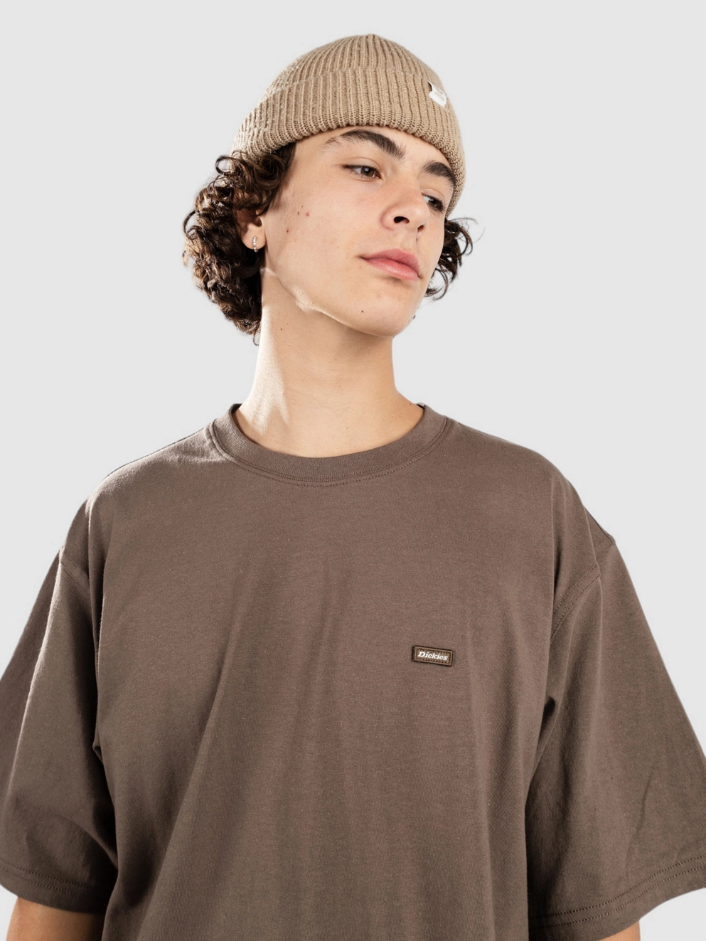 Dickies Clancy Heavyweight T-Shirt mushroom