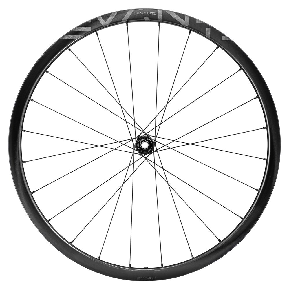 Campagnolo Levante 700C DB 2WF Hinterrad kaufen | Bike-Discount
