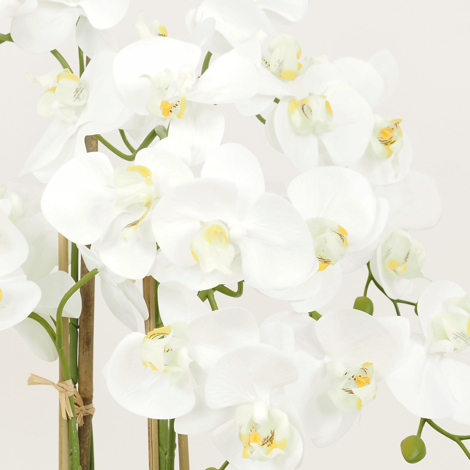 Orchidées artificielles blanche 55cm