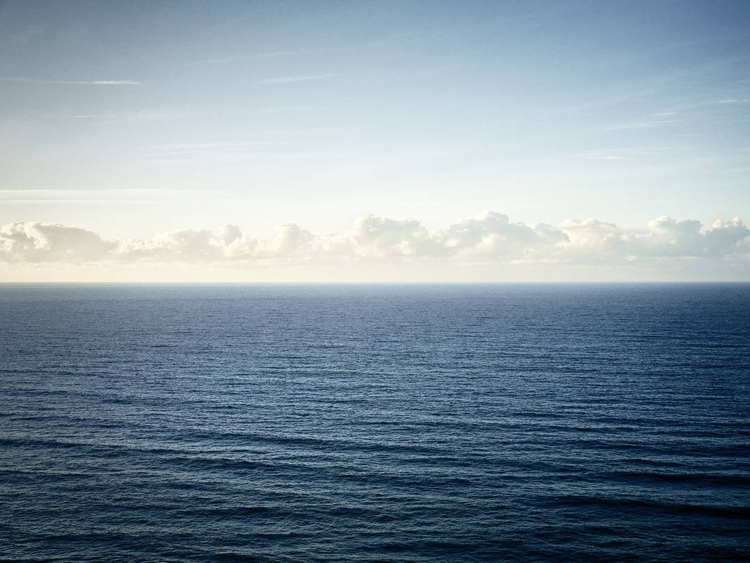 Barriga by Wolfgang Uhlig - Limited Edition. Edition of: 150. Signed.