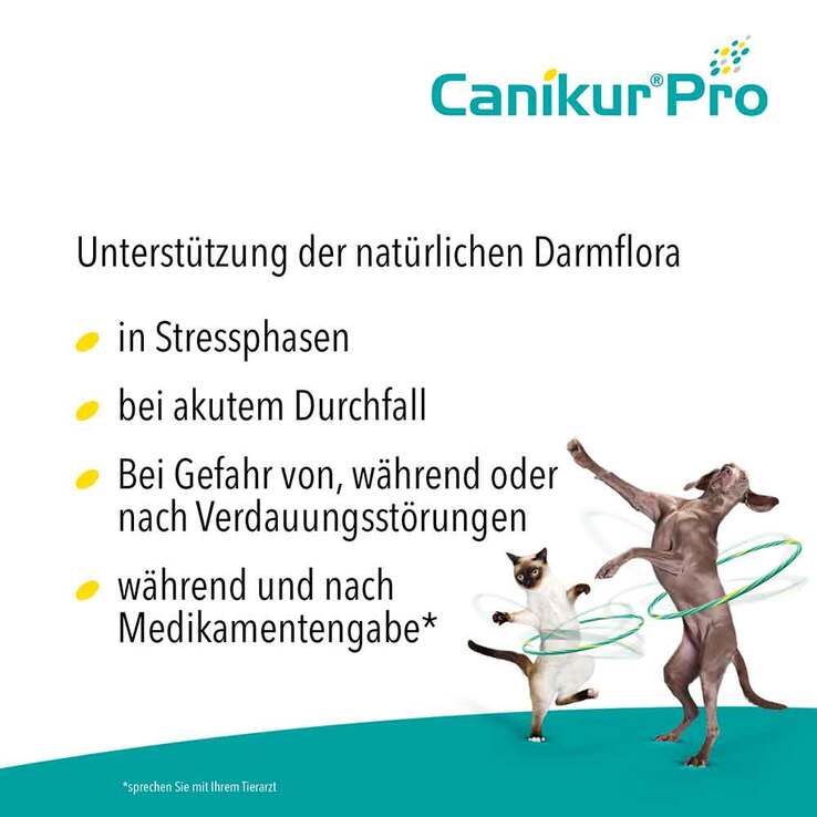 Canikur Pro vet. Paste, 15 ml