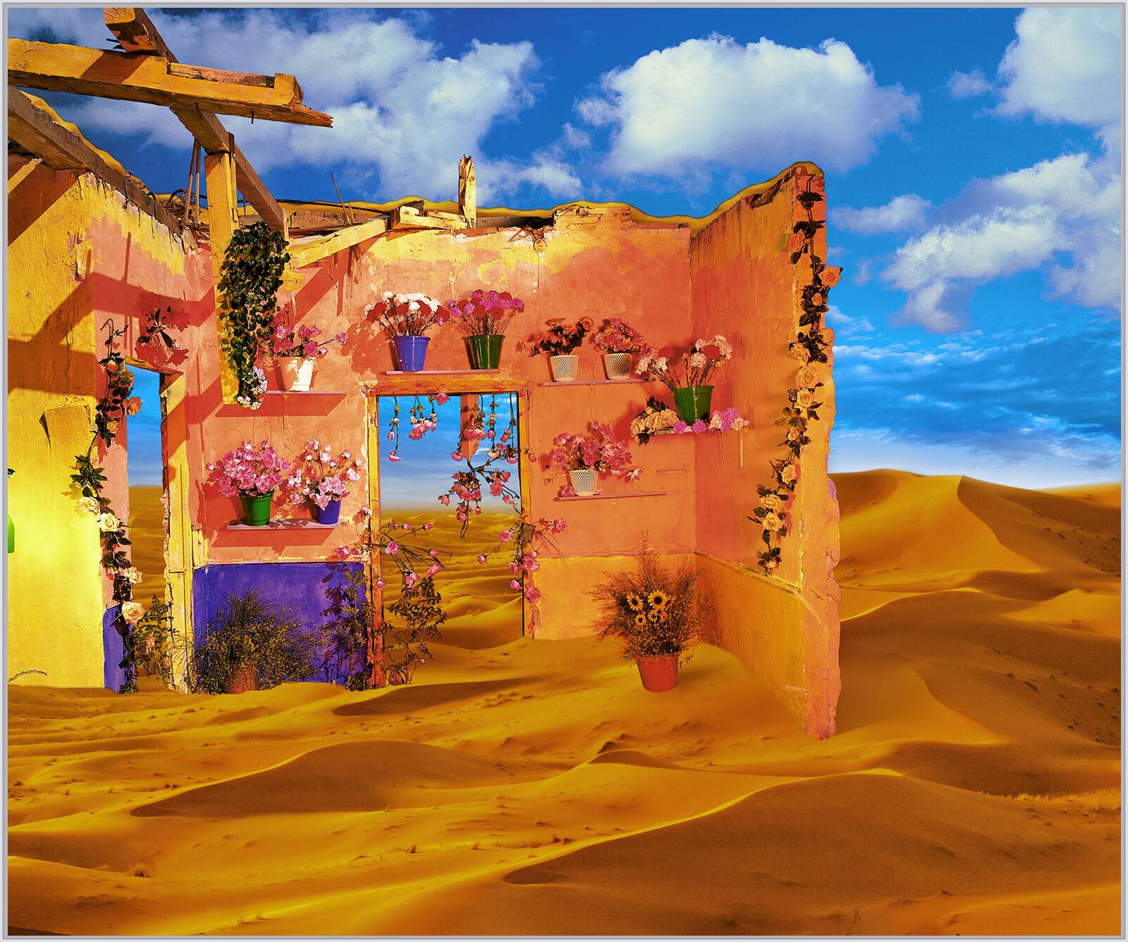 Desierto con flores by Rosa Muñoz - Limited Edition. Edition of: 150. Signed.