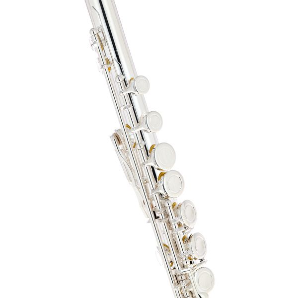 Fliphead Flute Bundle FL1-SE AM-2