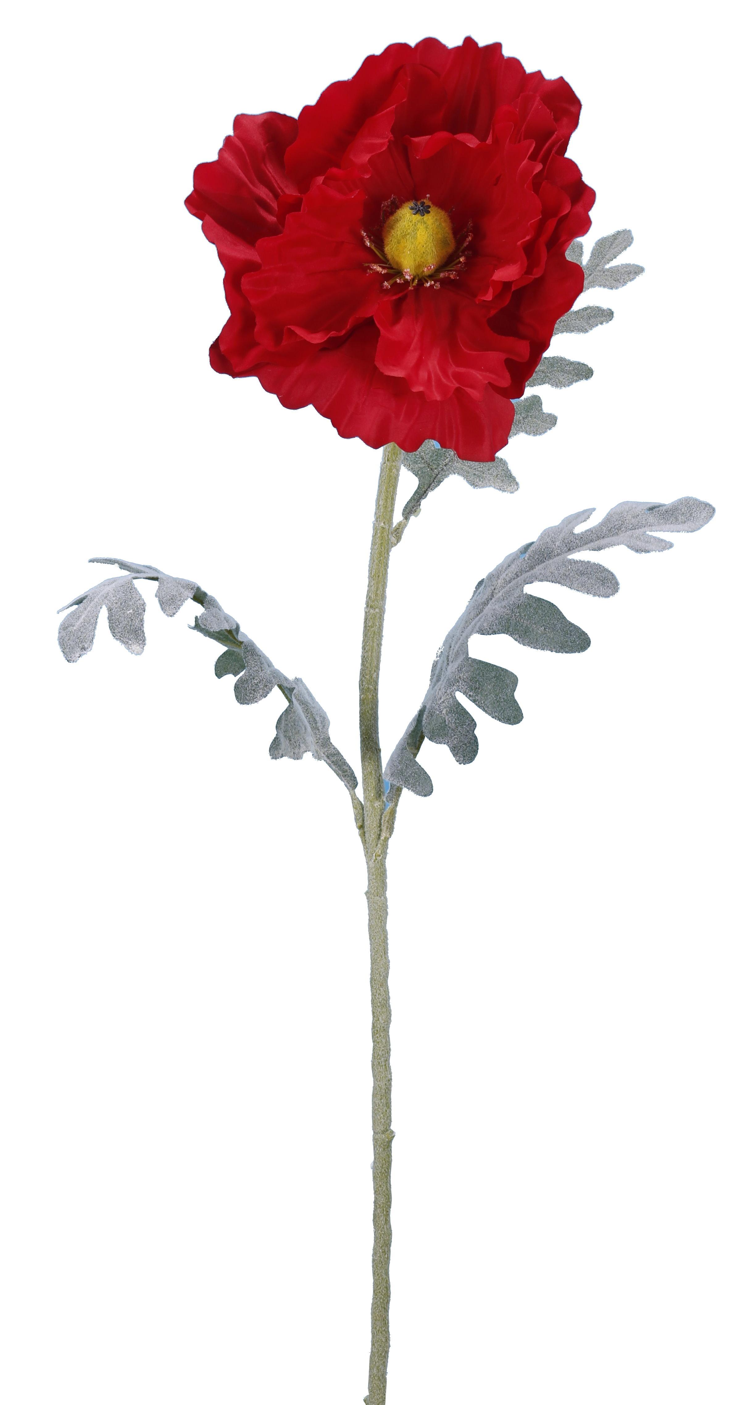 PAVOT ROUGE H.115CM
