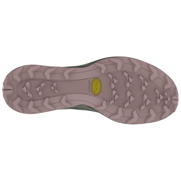 Chaussure trail DYNAFIT ALPINE W YERBA/THYME