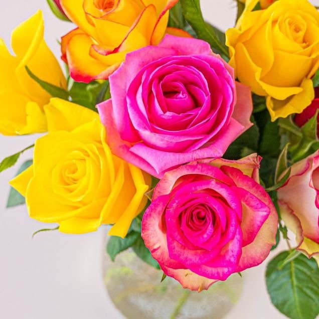 Brievenbusbloemen | Cadeaupakket Rozen | Gefeliciteerd