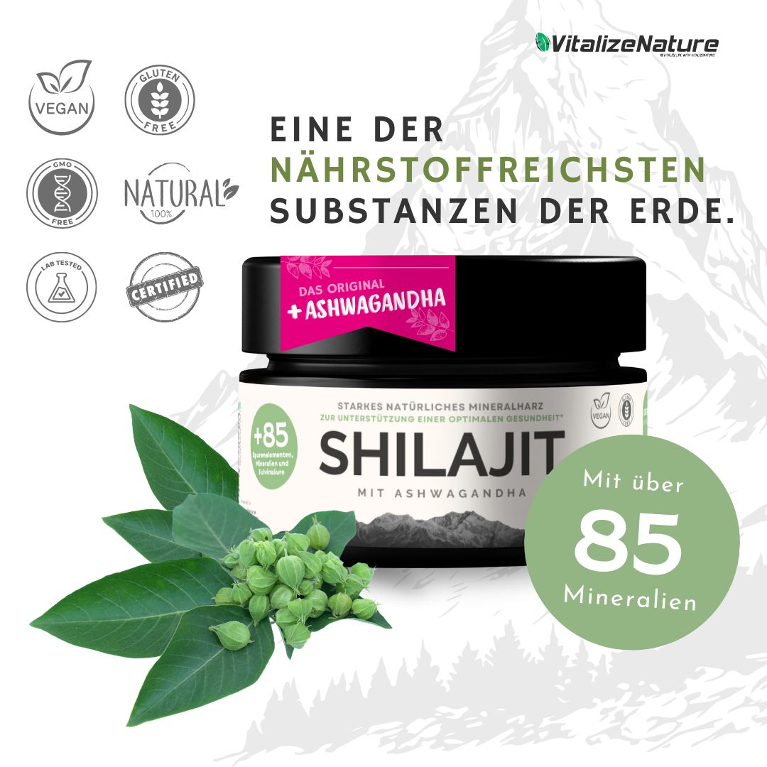 VitalizeNature Shilajit mit Ashwagandha