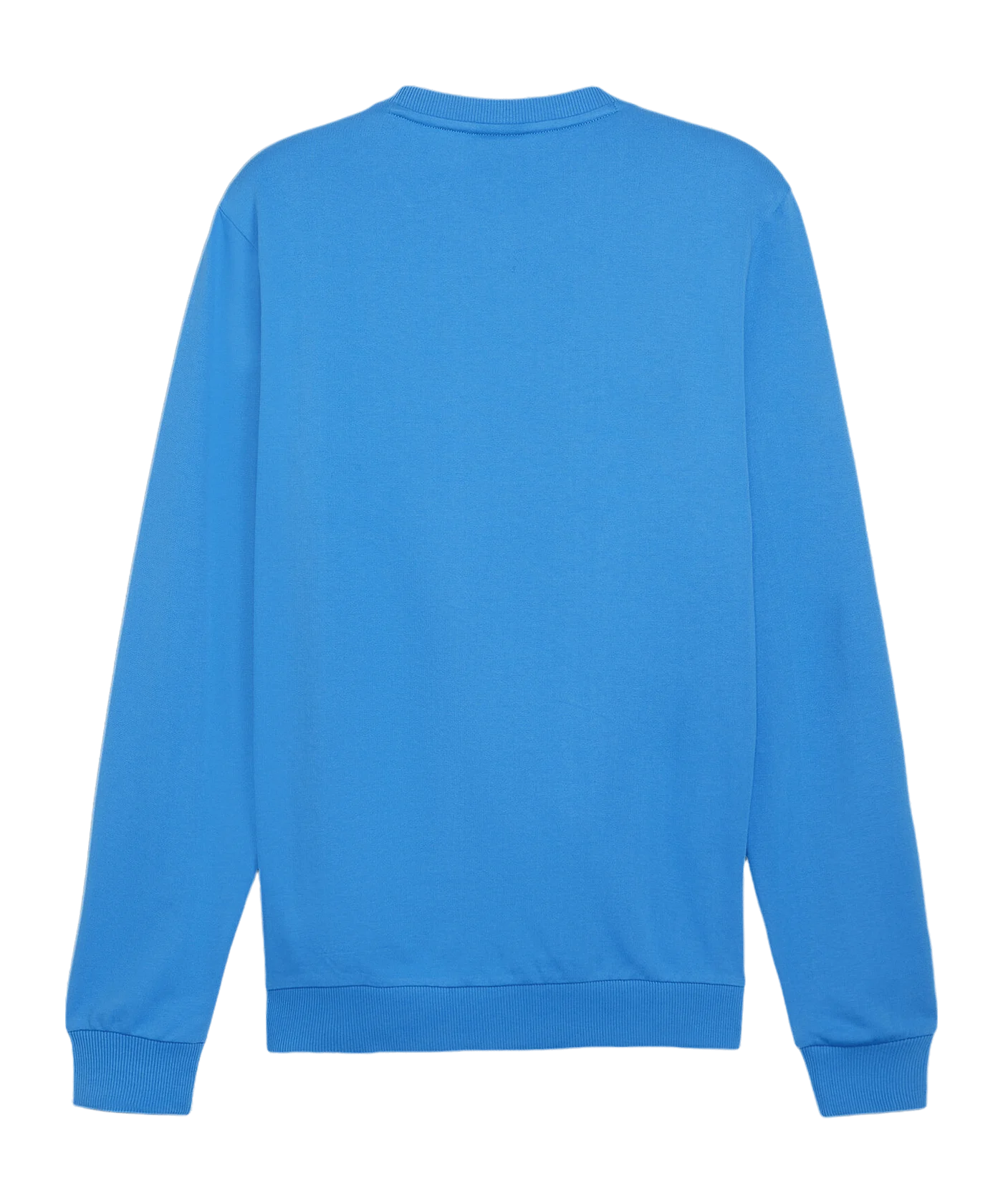 PUMA teamGOAL Casuals Sweatshirt Blau F02