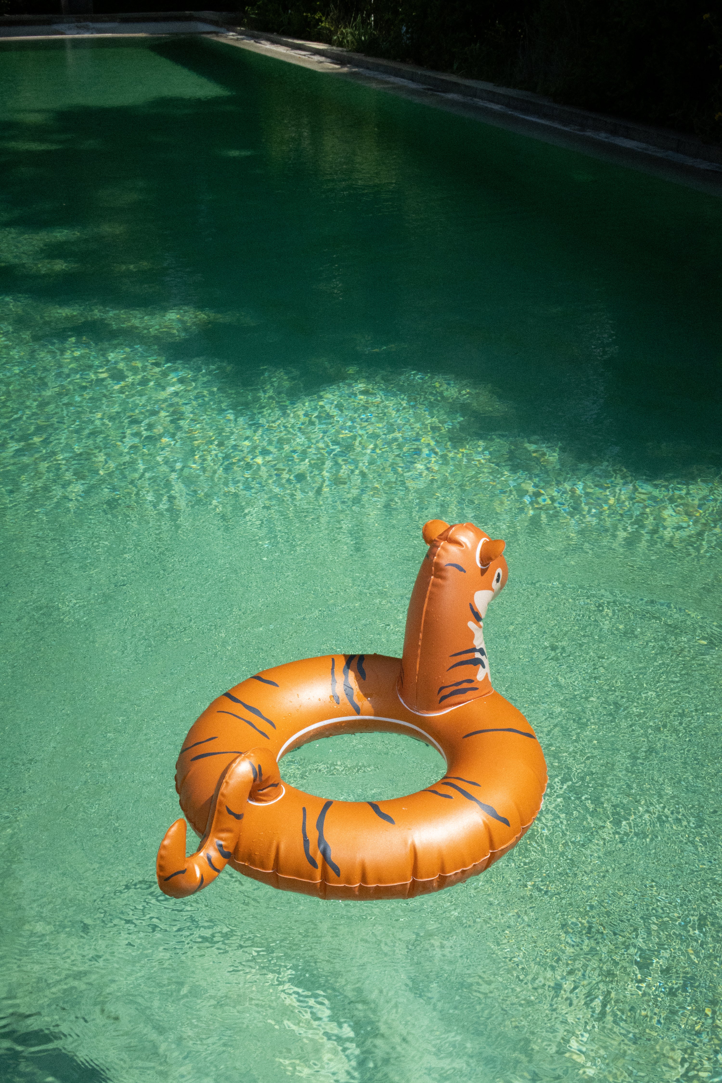 badering tiger - ORANGE - OS