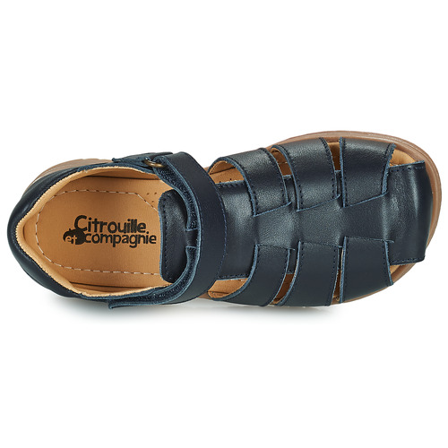 Citrouille et Compagnie - FRINOUI - Marine