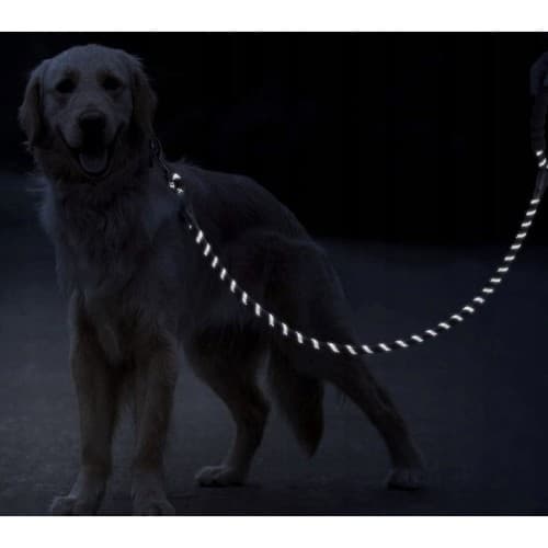 Hundebånd med Refleks / Bånd til Hund - 3m