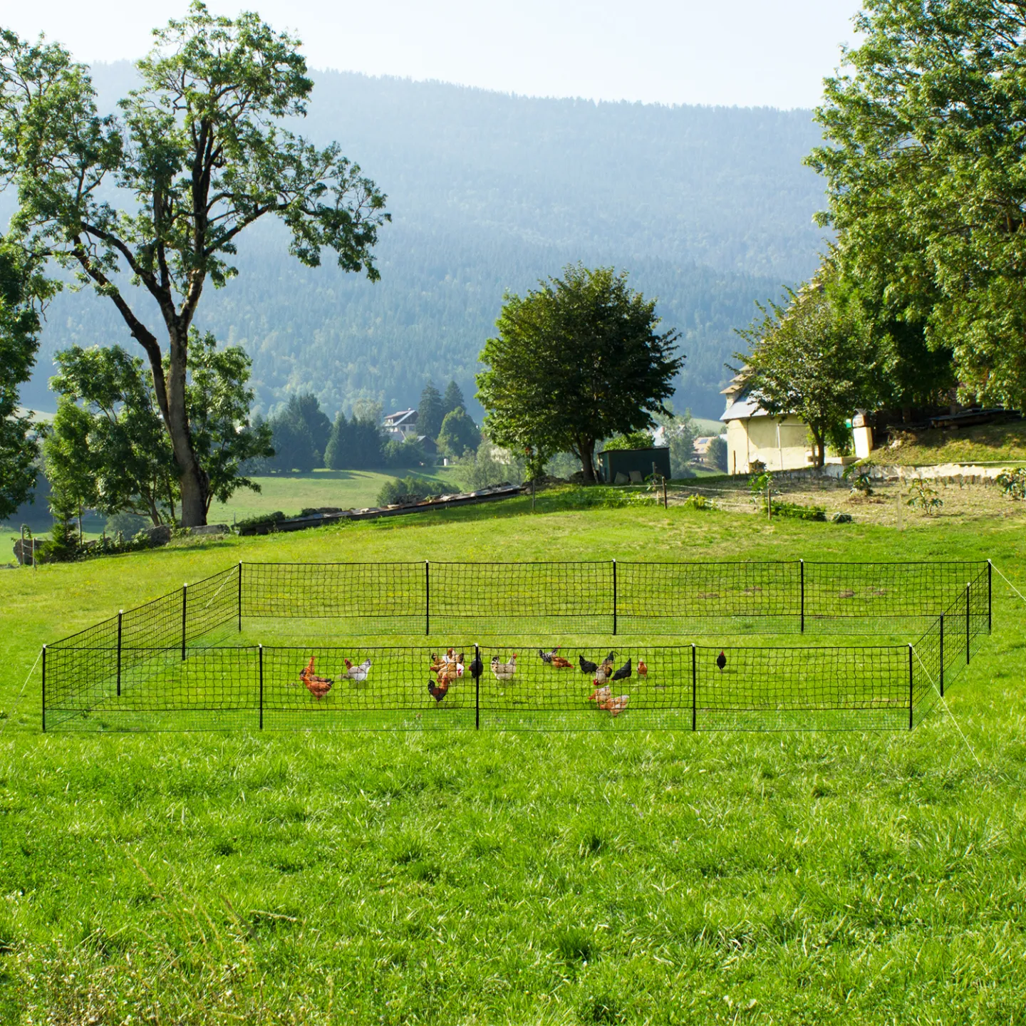 Kit clôture filet à poules 50 M avec porte 15 piquets double pointes