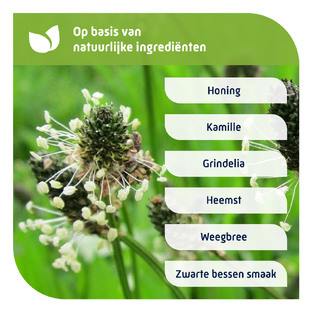 Natterman Kindersiroop Voor Alle Hoest Nacht 150ML