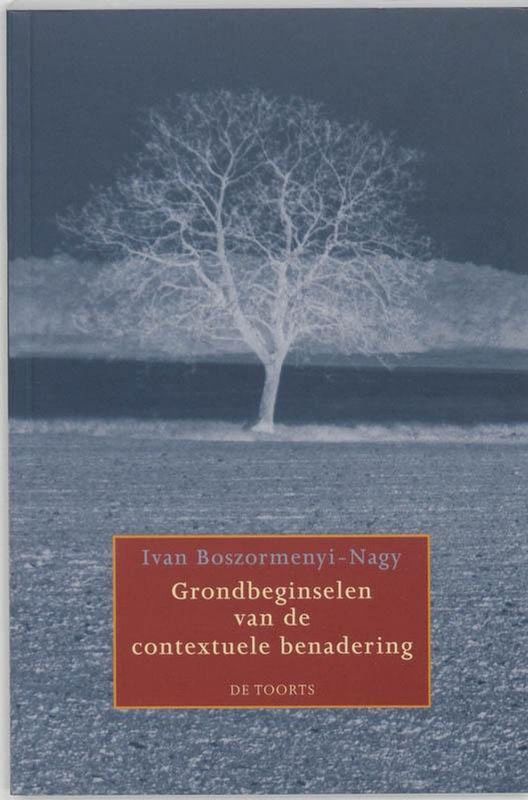 Grondbeginselen van de Contextuele Benadering - Nelly Bakhuizen - Boek