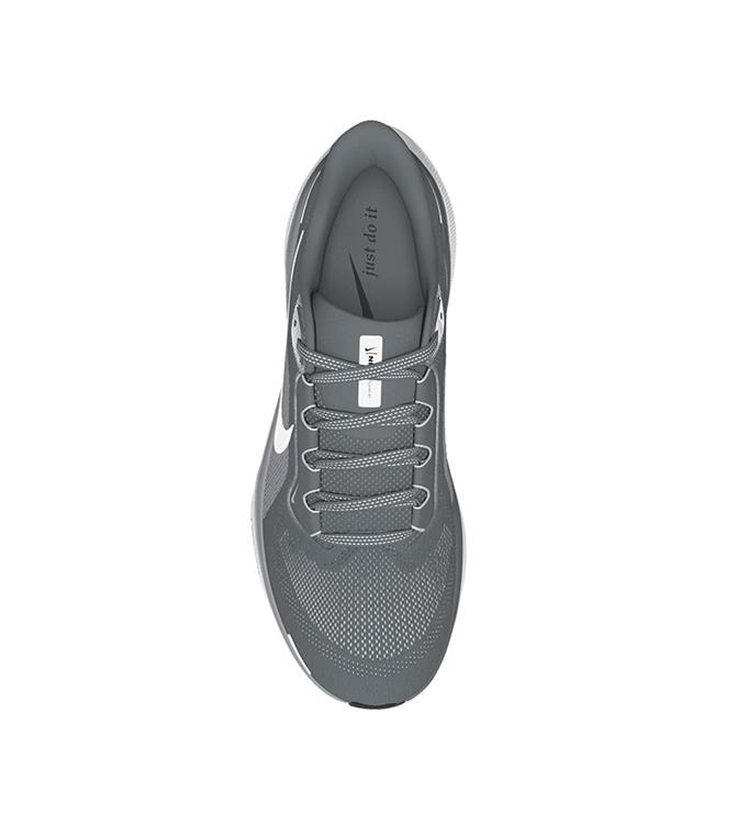 Nike AIR ZOOM PEGASUS 41 FD2722-009 COOL-GREY-WHITE-WOLF-GREY-PURE