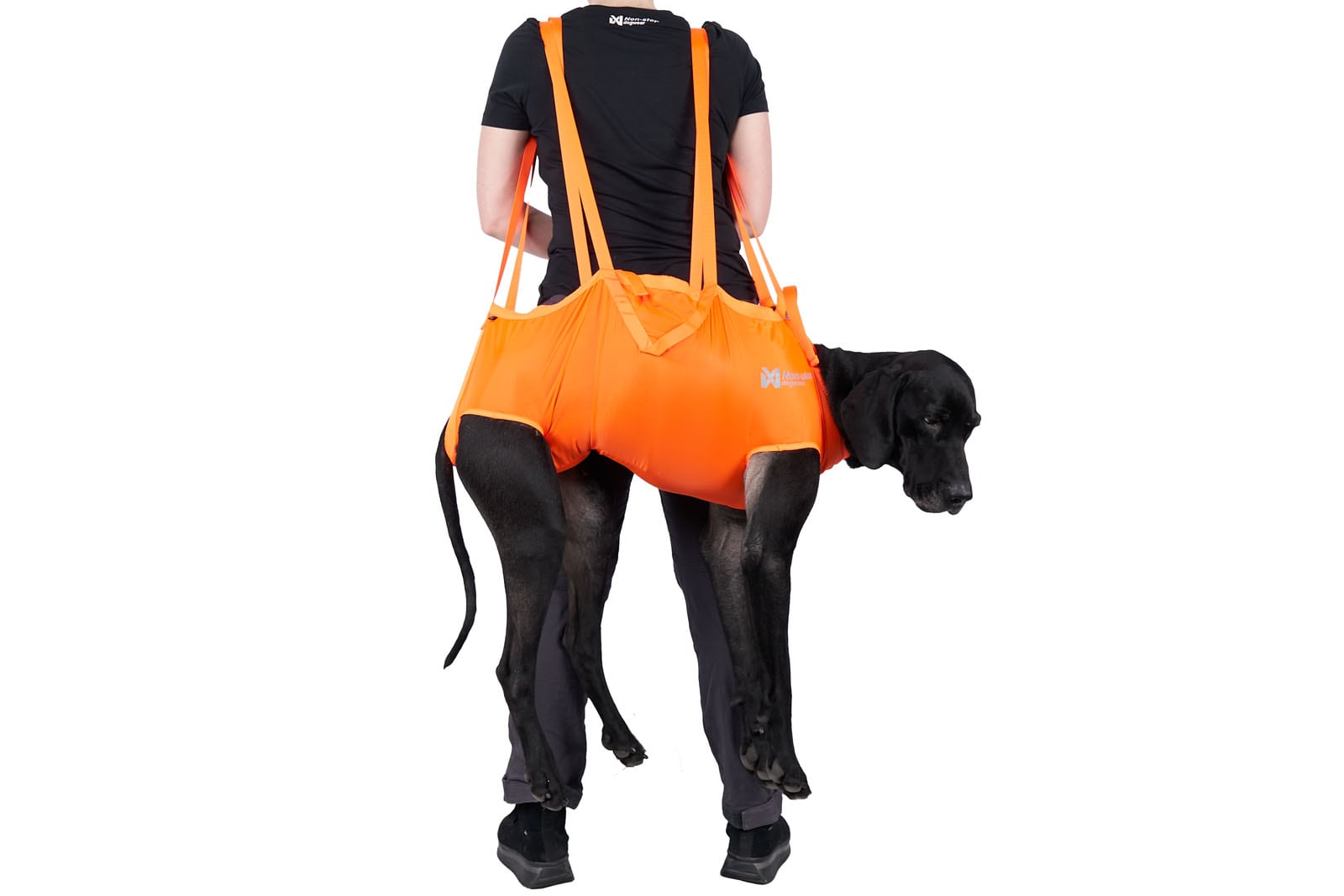 Non-Stop Dogwear Dog rescue sling<br>Lett, rask og pålitelig – når hunden trenger deg mest!