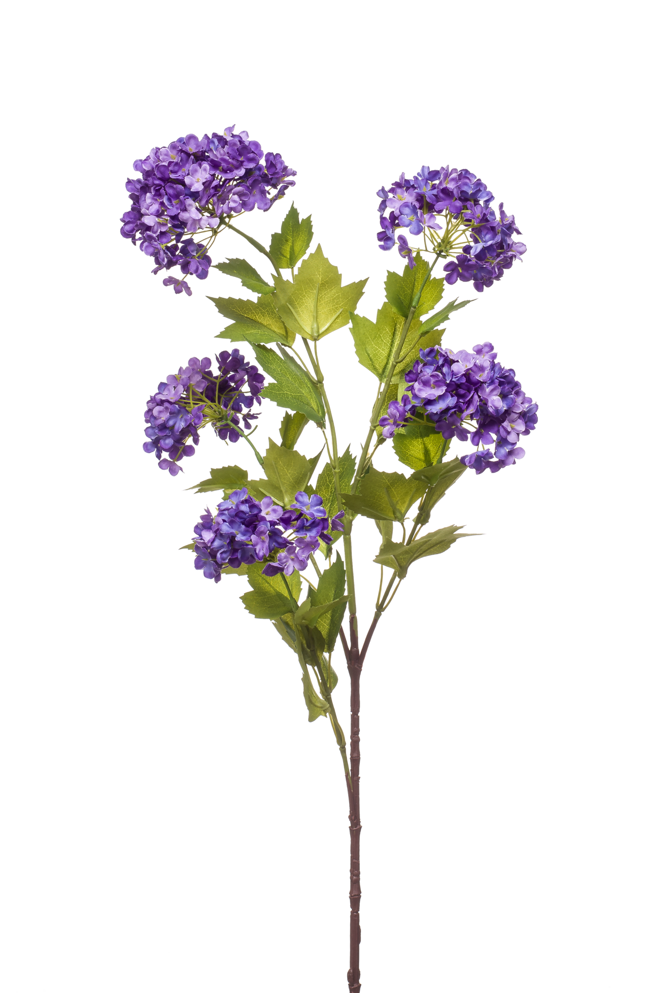 Viburnum spray purple