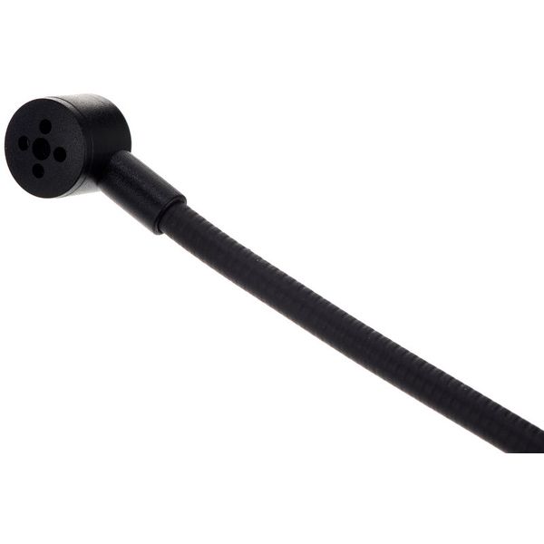 Shure BLX1288/P31 Combo S8