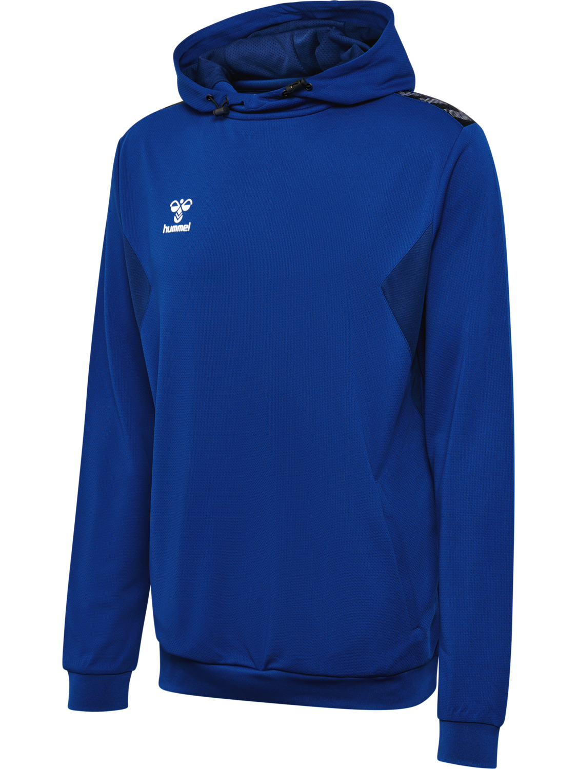 hmlAUTHENTIC PL HOODIE