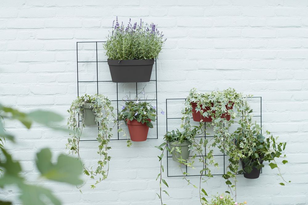 Elho muur bloempot Loft Urban groen D 15 H 13,5 cm