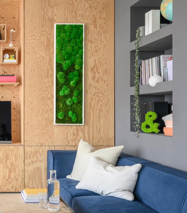 styleGREEN Bild aus Wald- und Kugelmoos im
