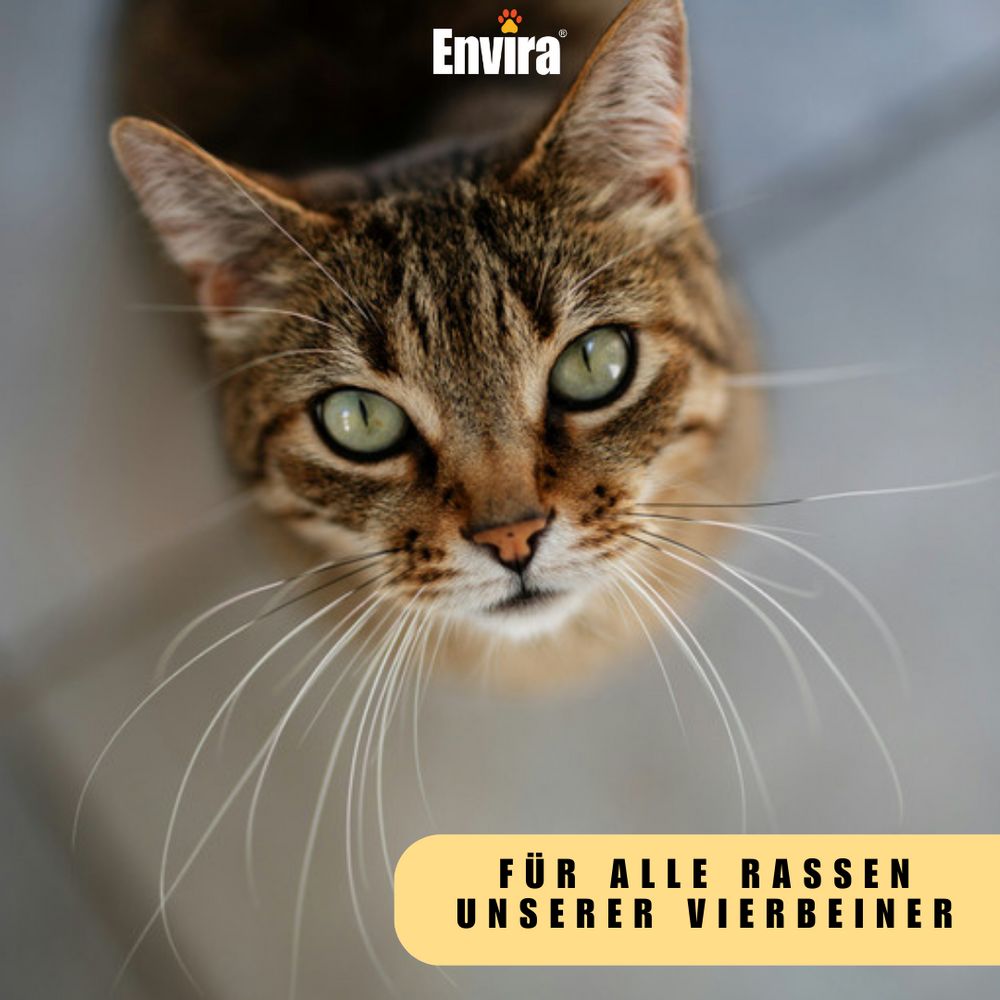 ENVIRA Anti-Juckreiz Schaum