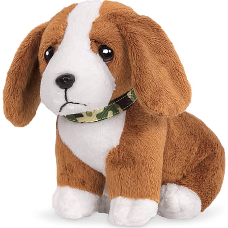 Our generation Basset Hound hvalp