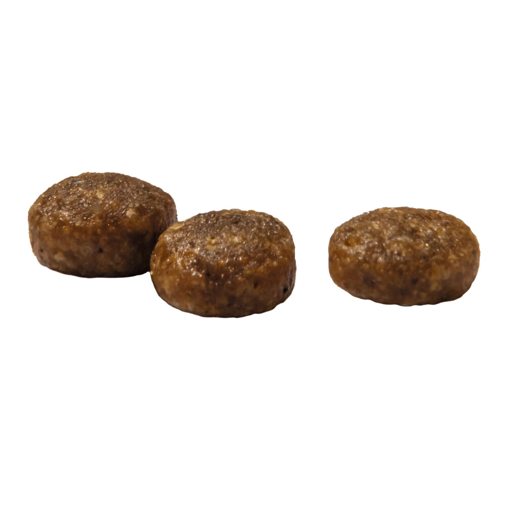 Prins VitalCare Kitten Kattenvoer 10 kg
