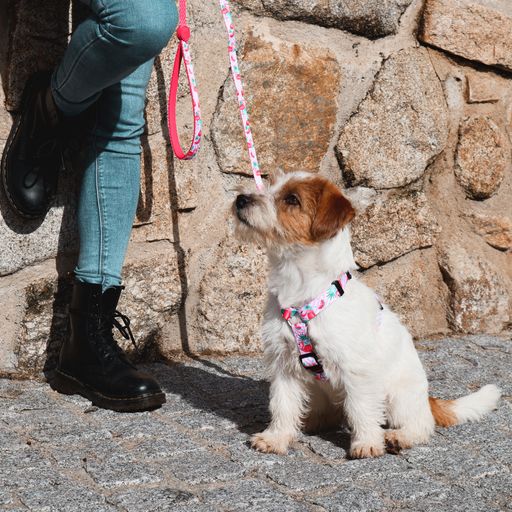 Guia para cães em poliéster com estampa de flamingo, diversas cores.