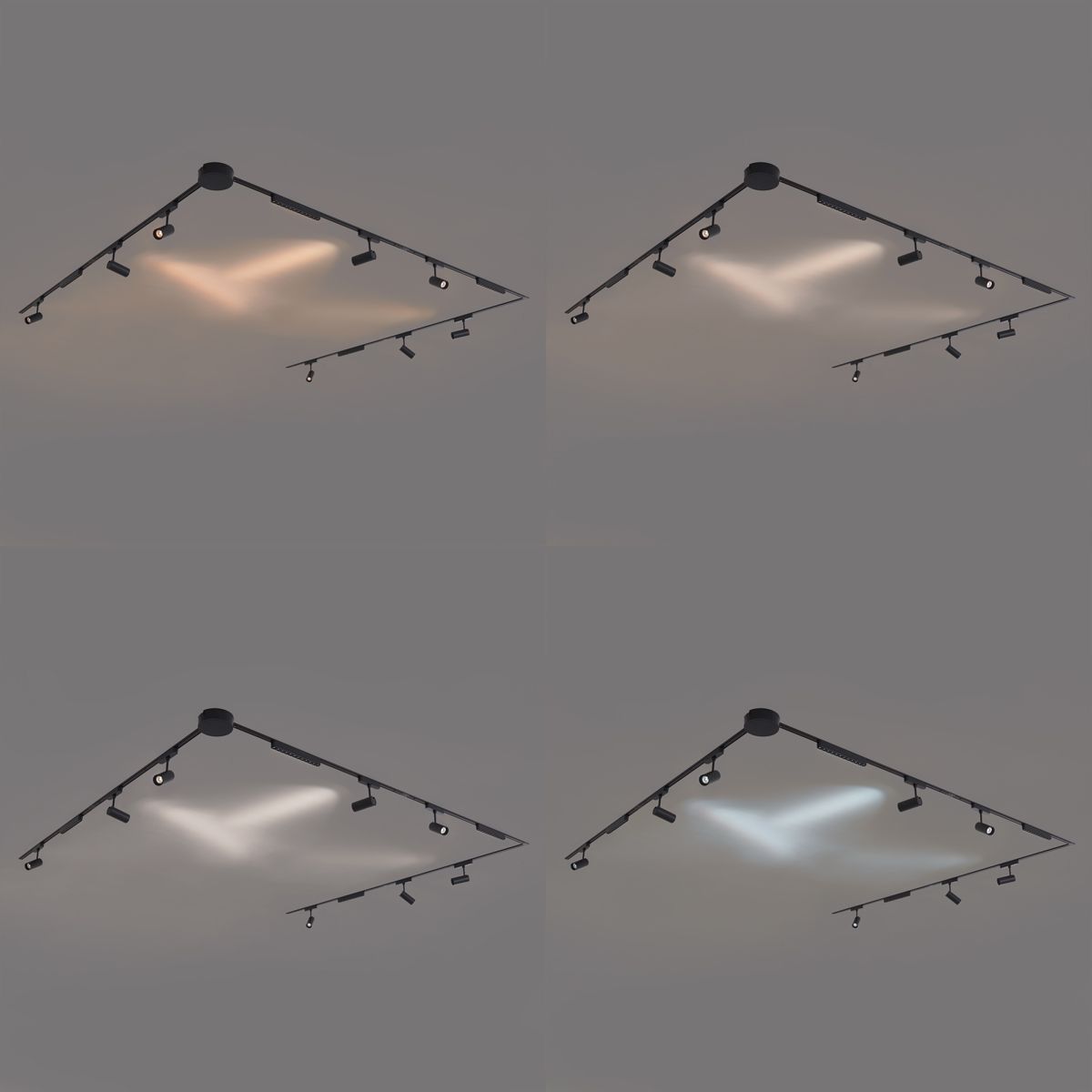 Railsysteem met 8 spots en 4 plafondlampen zwart 1-fase - Magnetic Gert Puntua