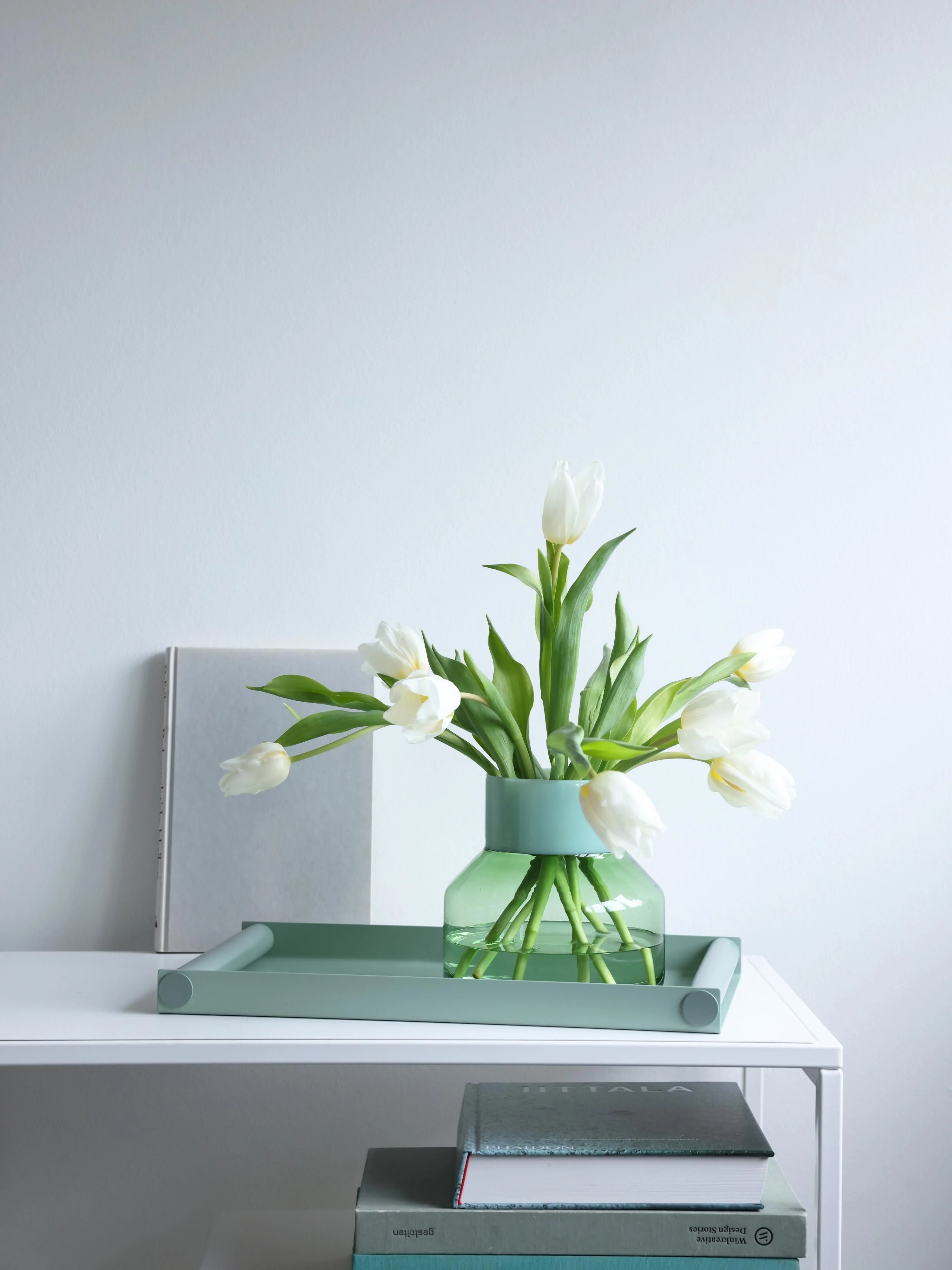 Decoratief dienblad Ray