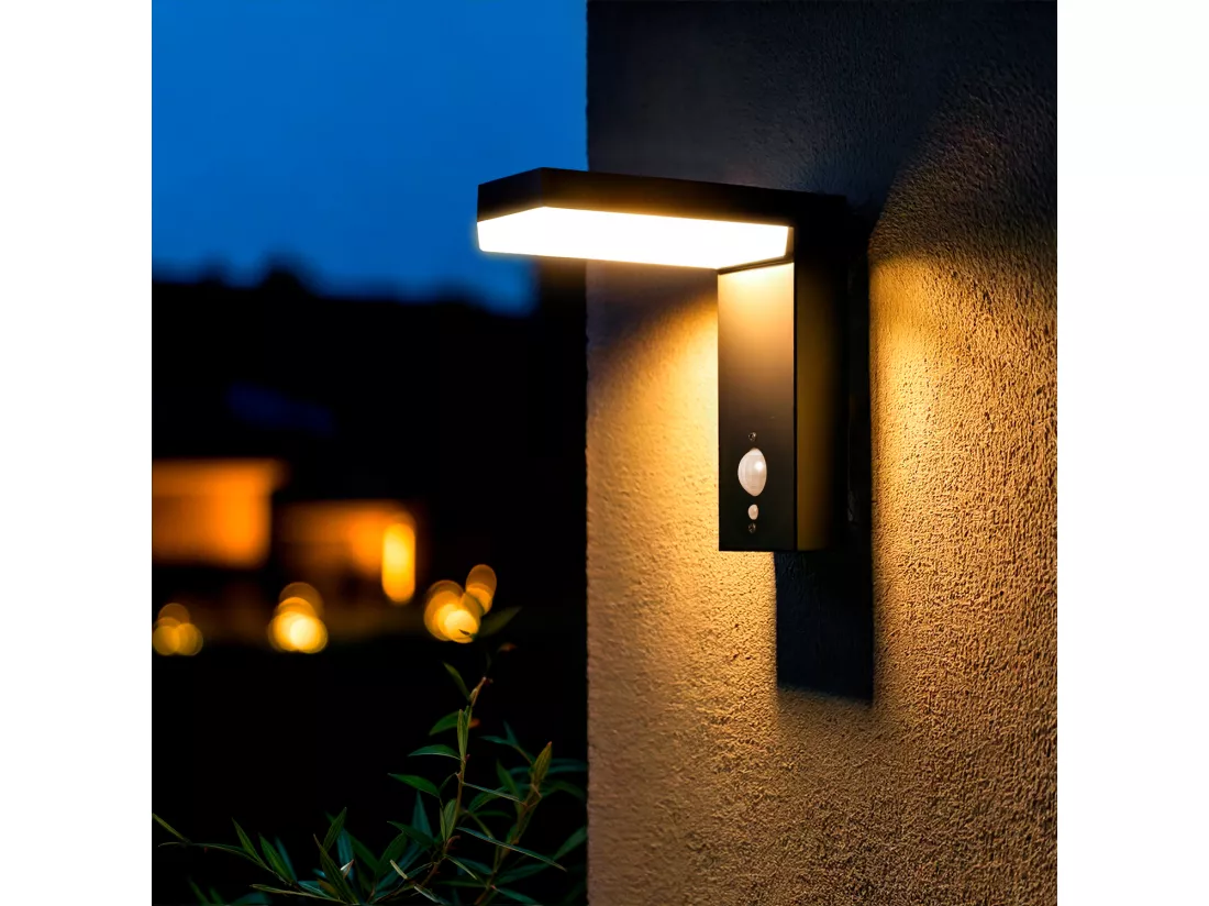 Applique Murale Extérieure Solaire LED Aluminium avec Détecteur de Mouvement Goran Noir