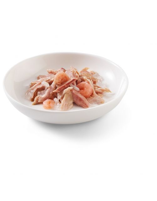 Schesir Kat Mp Blik Gelei 6x50 g - Kattenvoer