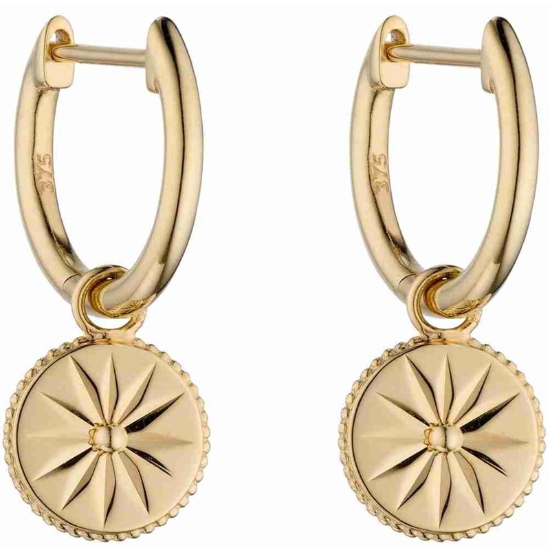 Boucle d'oreille original sur or 375/1000