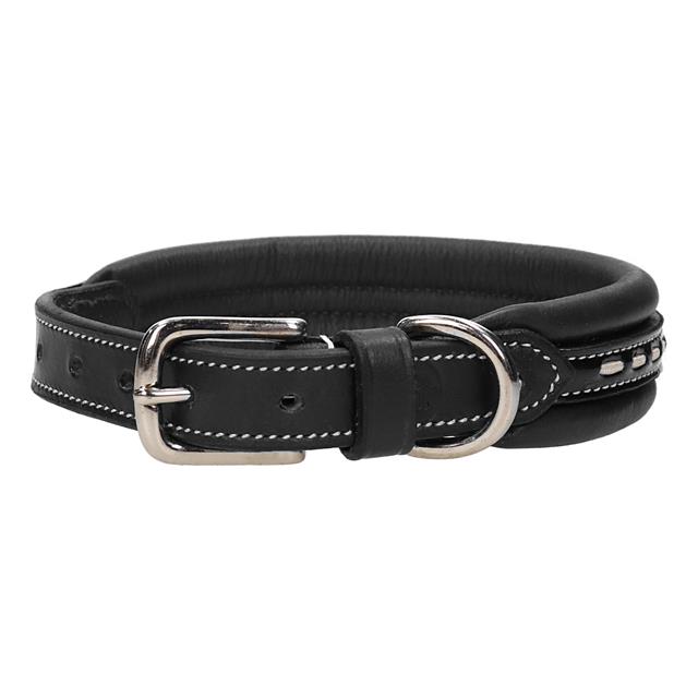 Halsband Pénélope Hond Zwart