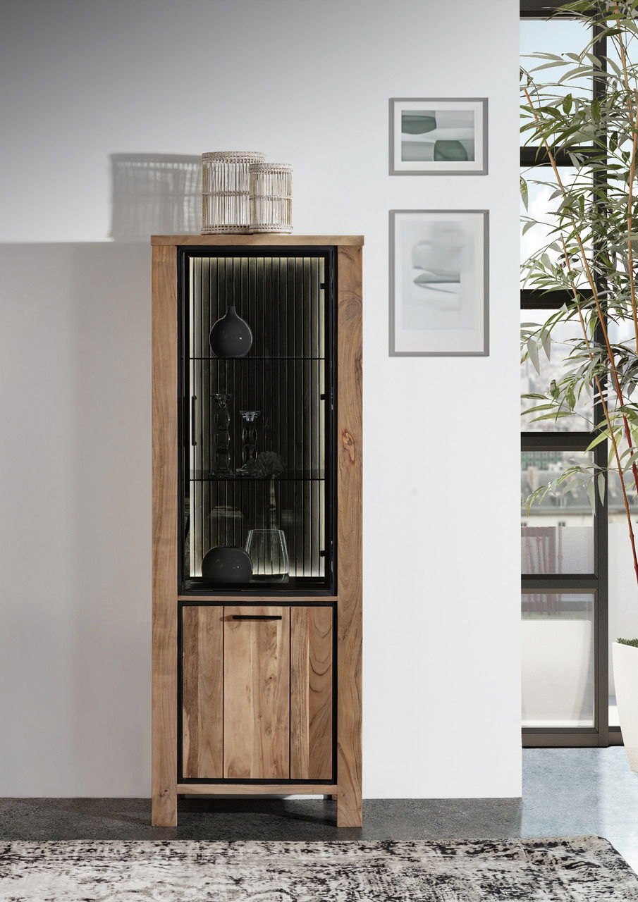 Landscape Vitrine AKAZIO