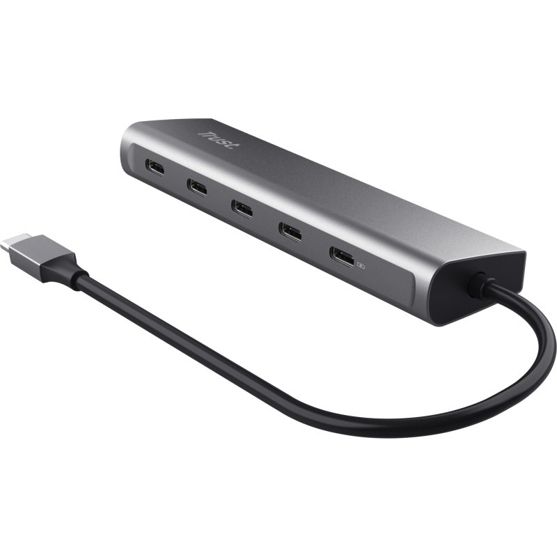 Trust Halyx USB 3.2 Gen 1 (3.1 Gen 1) Type-C Argent