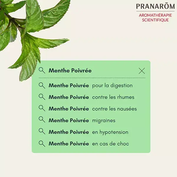 Óleo Essencial de Hortelã-Pimenta Pranarom 10ml