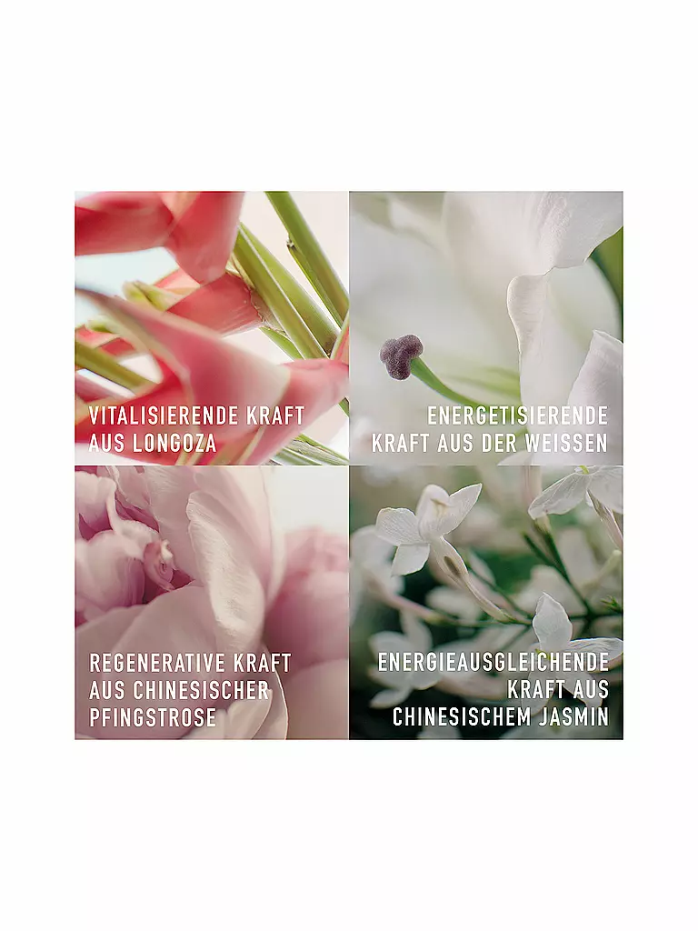 DIOR Augencreme - Capture Totale Firming & Wrinkle-Correcting Eye Creme 15ml keine Farbe