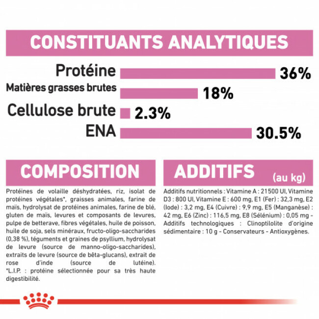 Croquettes pour chatons Royal Canin Kitten