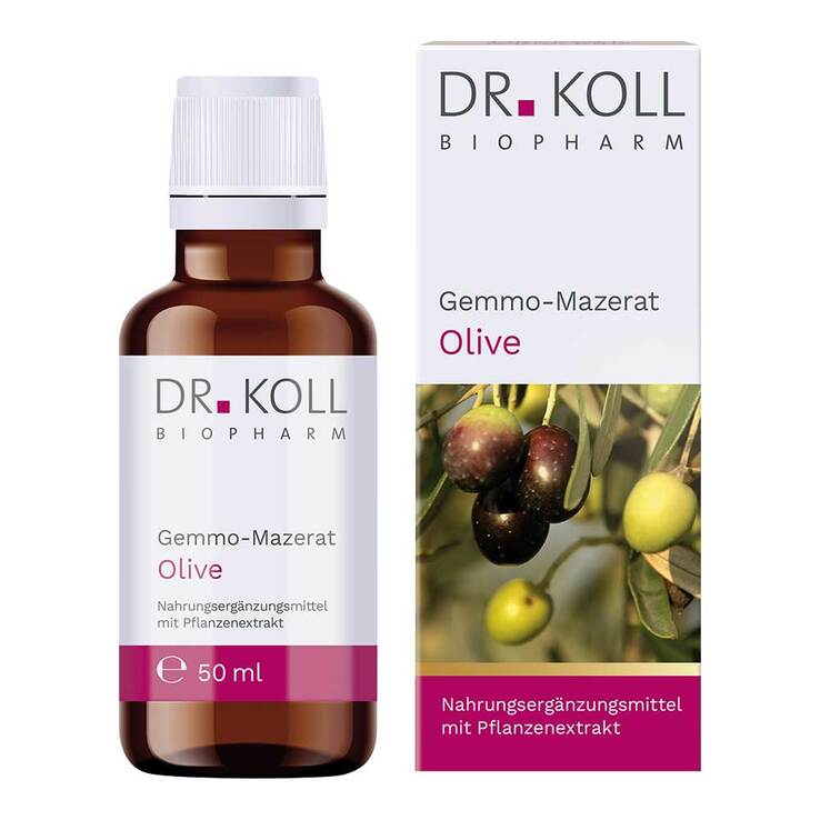 Gemmo-Mazerat Olive Dr. Koll Olea europaea Tropfen, 50 ml
