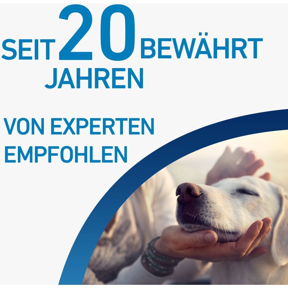 FRONTLINE® SPOT ON Hund (2-10kg) gegen Zecken und Flöhe