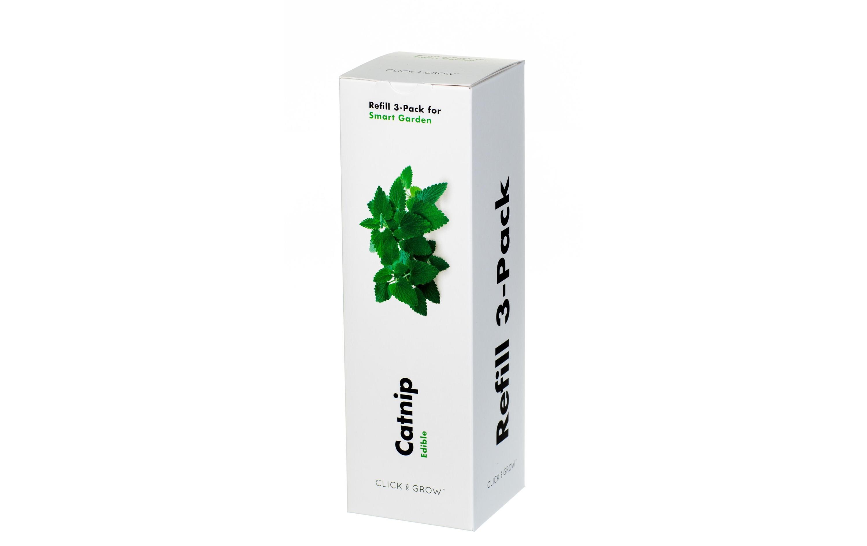 Samen KatzenminzeNachfüllpackung zum Smart Herb Garden